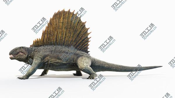 images/goods_img/20210312/Dimetrodon Animated 3D model/3.jpg